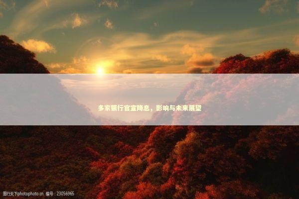 多家银行官宣降息，影响与未来展望