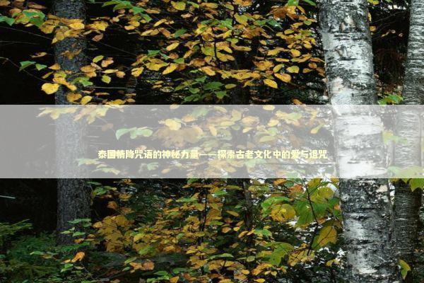 泰国情降咒语的神秘力量——探索古老文化中的爱与诅咒