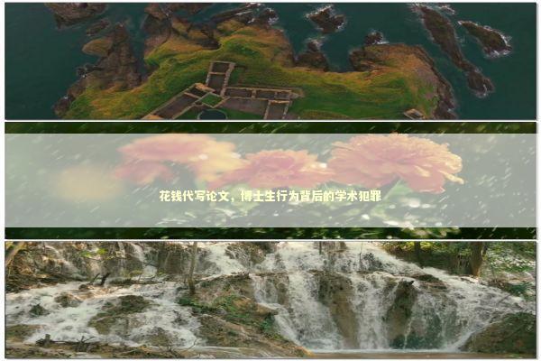 花钱代写论文，博士生行为背后的学术犯罪