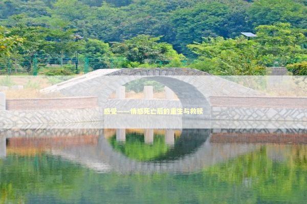 感受——情感死亡后的重生与救赎