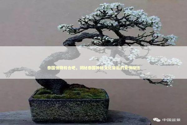 泰国情降和合吧，揭秘泰国神秘文化背后的爱情魔法