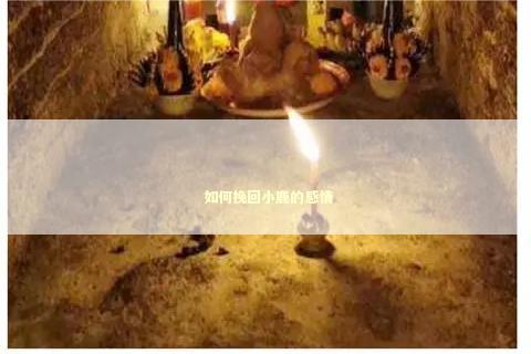  如何挽回小鹿的感情