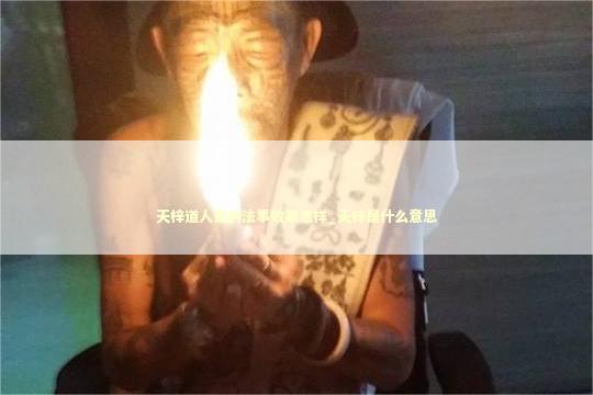 天梓道人做的法事效果怎样_天梓是什么意思